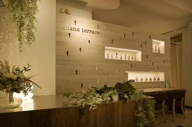 壁・天井イメージ